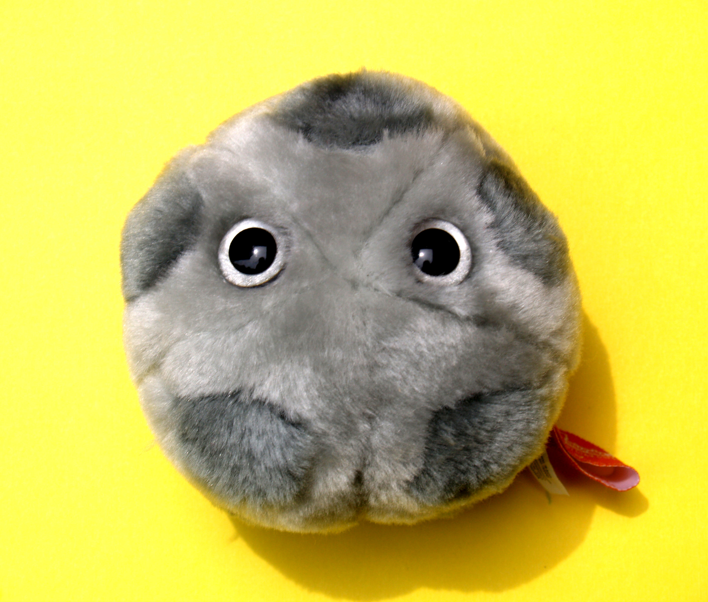 hpv stuffed animal