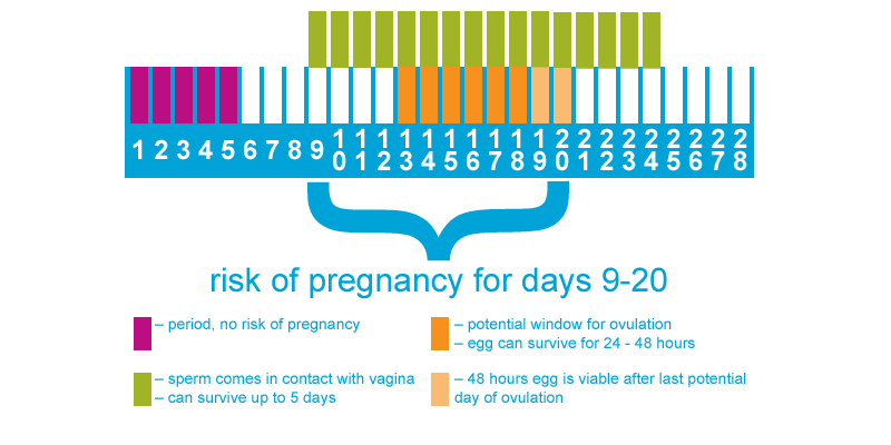 What Is Risk Pregnancy Edition Teen Health Source