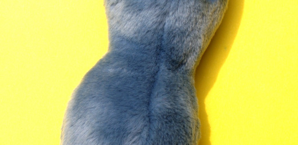 A photo of a stuffed toy representing a Gonnorhea. It is a blue-grey peanut shape, and has two big blue eyes.