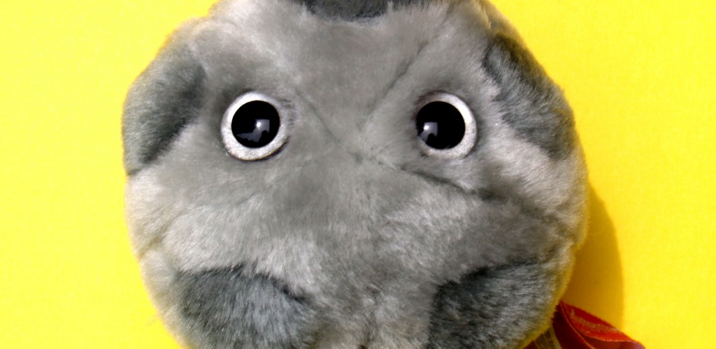 A photo of a stuffed toy representing HPV. It is a grey ball, with darker grey spots, and has two big grey eyes.