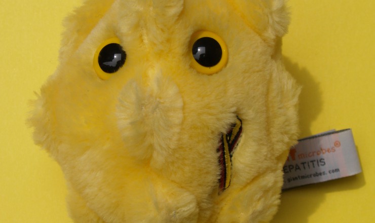 A photo of a stuffed toy representing hepatitis. It is a bright yellow ball with ridges, and has two big yellow eyes.