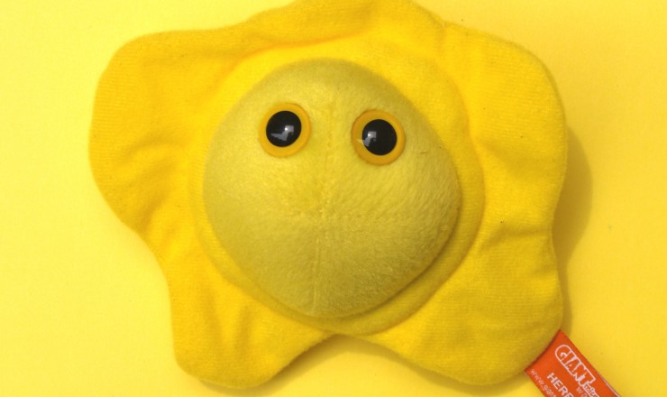 A photo of a stuffed toy representing a herpes virus. It looks like a fried egg, is bright yellow, and has two big yellow eyes.