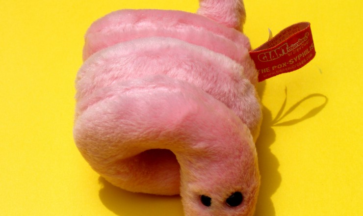 A photo of a stuffed toy representing Syphilis. It is a bright pink coiled worm, and has two black eyes.