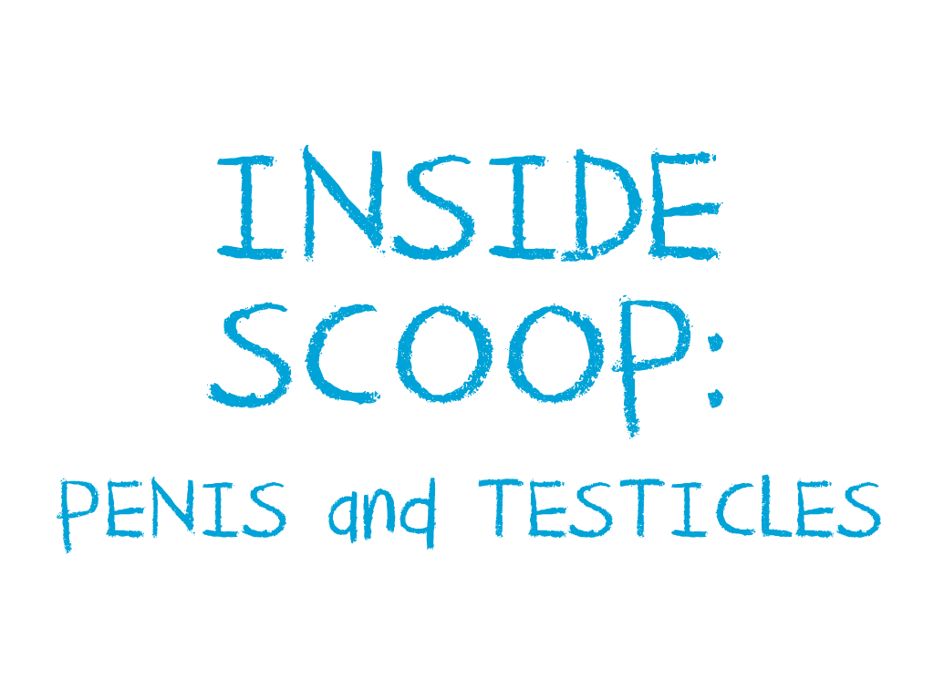 Inside Penis