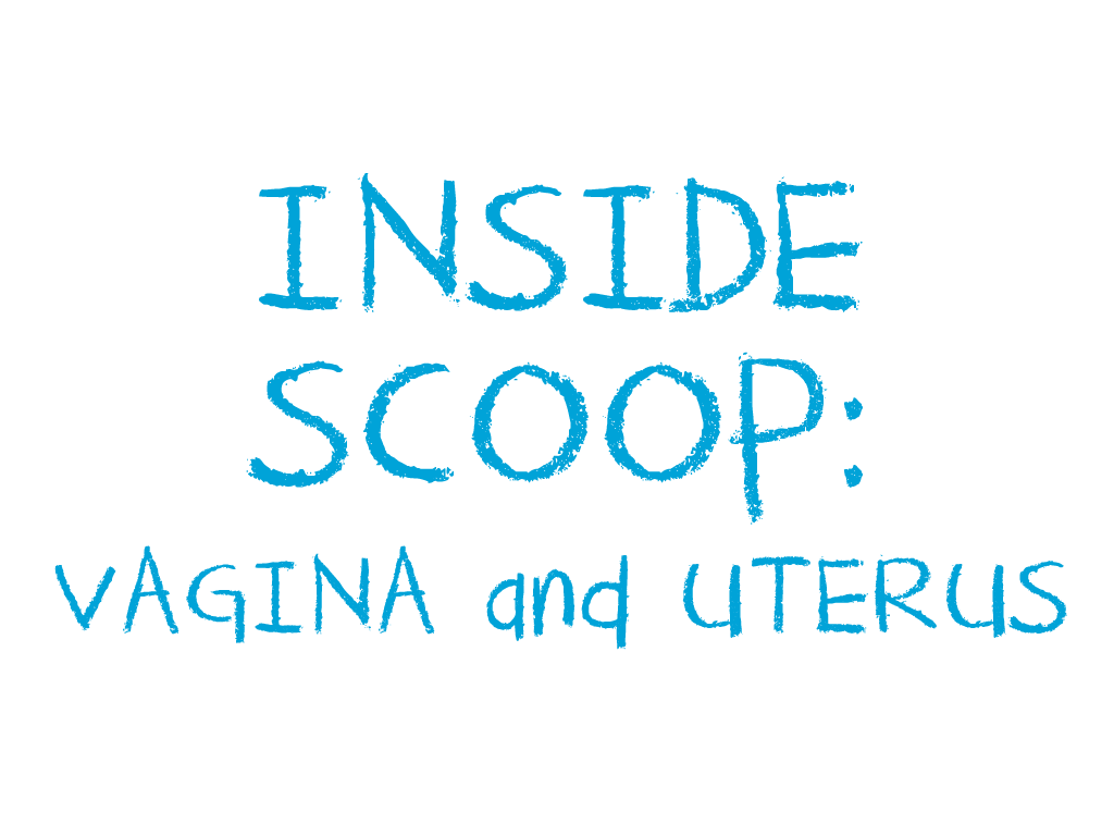 Inside Scoop Vagina And Uterus Teen Health Source
