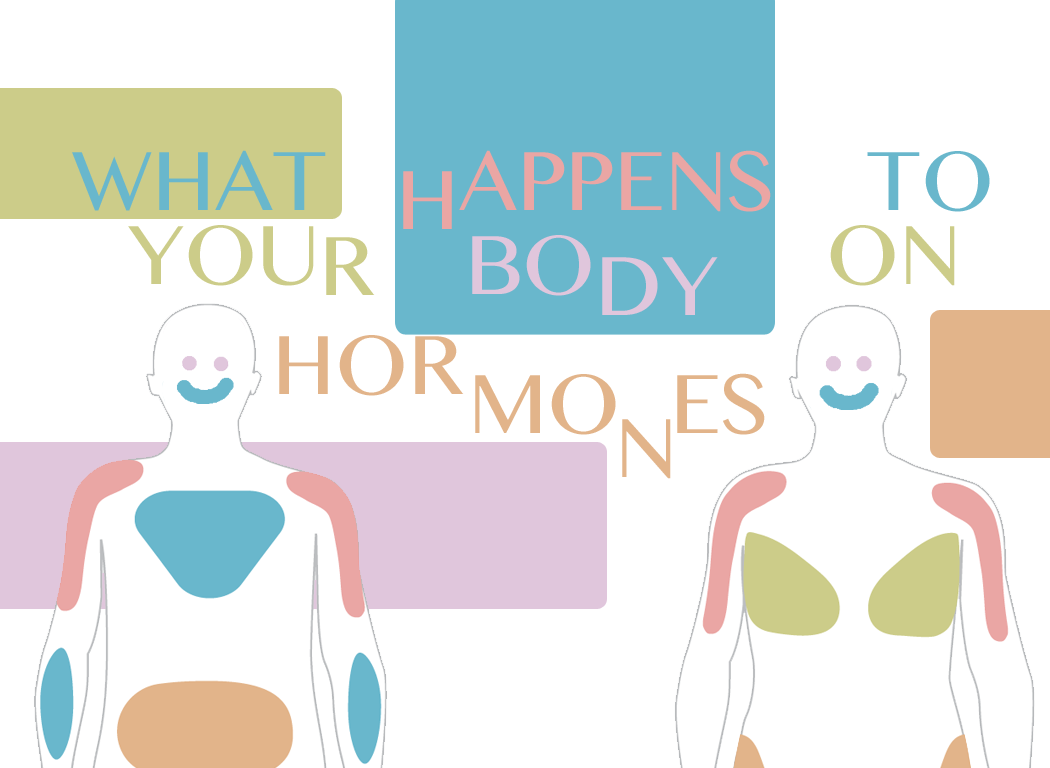 FAQ What Happens To Your Body On Hormones Teen Health Source