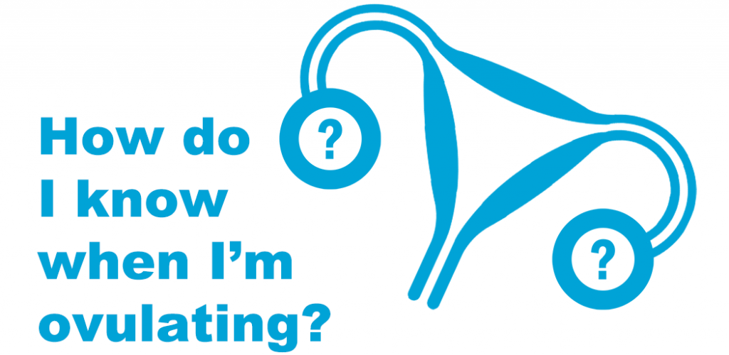 White background. Blue text on the left reads "How do I know when I'm ovulating?" On the right is a blue icon of a uterus with fallopian tube and ovaries. Inside the ovaries are two blue question marks.