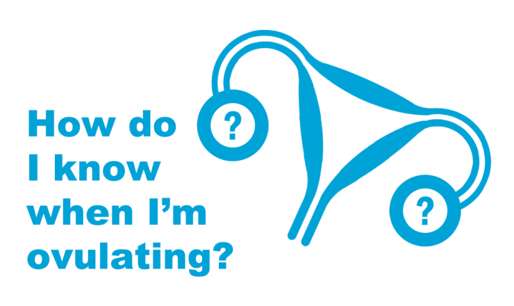 White background. Blue text on the left reads "How do I know when I'm ovulating?" On the right is a blue icon of a uterus with fallopian tube and ovaries. Inside the ovaries are two blue question marks.
