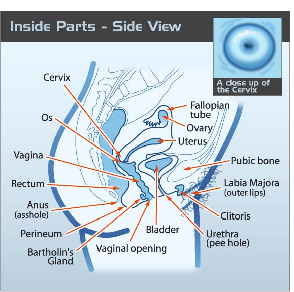 Vaginal Discharge - Teen Health Source